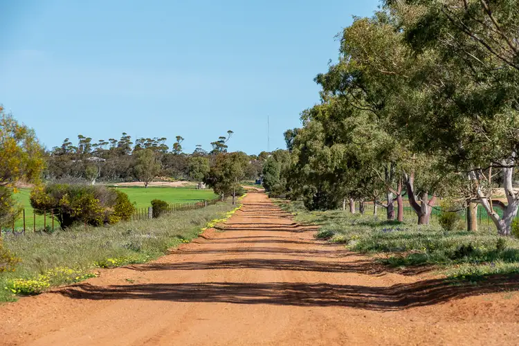 Second view of Homely rural property listing, 386 Morrison Road, Mukinbudin WA 6479