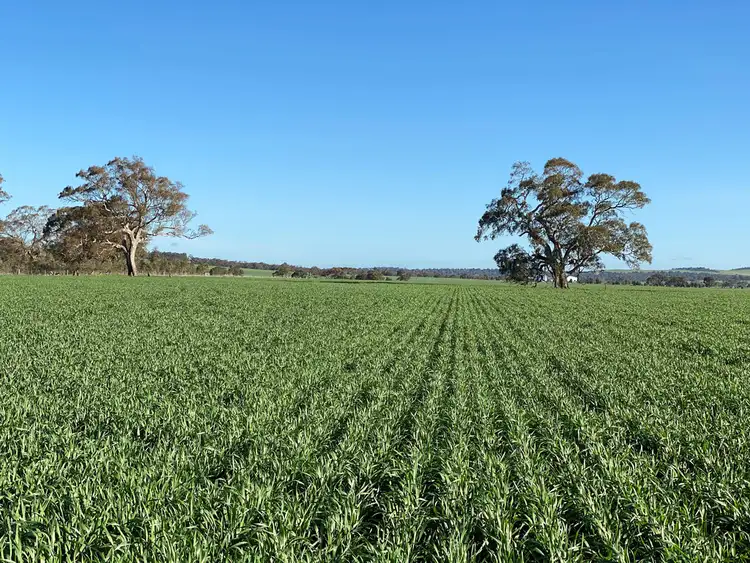 Second view of Homely rural property listing, - Geelong Road, Buangor VIC 3375