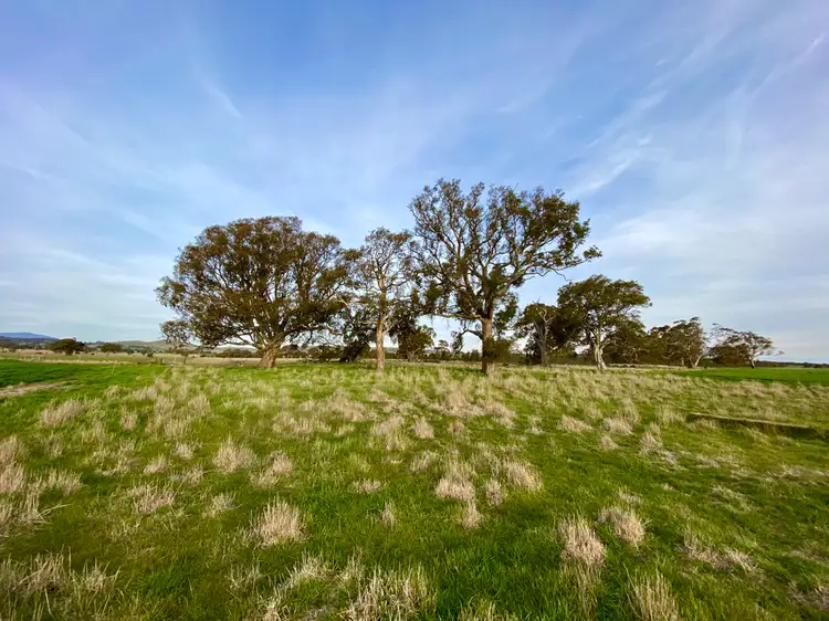 Fifth view of Homely rural property listing, - Geelong Road, Buangor VIC 3375