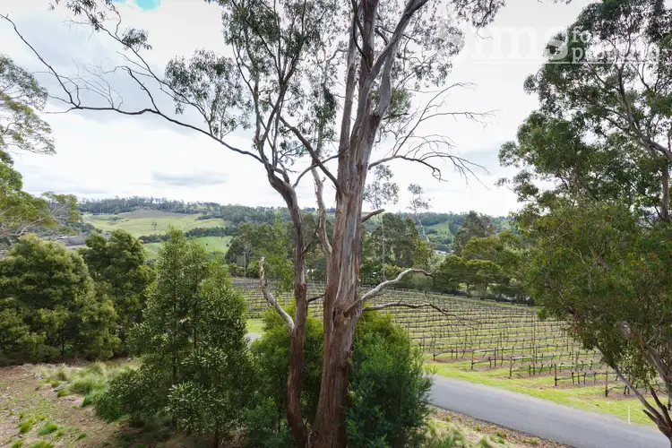 Third view of Homely apartment listing, 6/1a Waldhorn Drive, Grindelwald TAS 7277