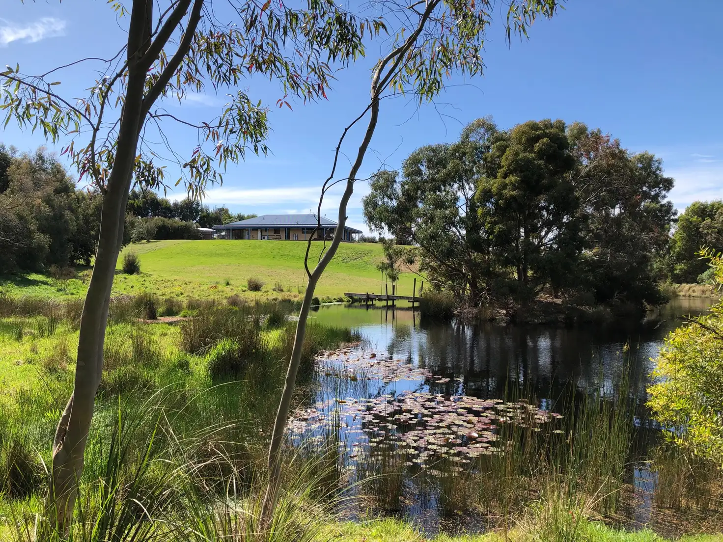 Main view of Homely house listing, 15 Powells Rd, Foster VIC 3960