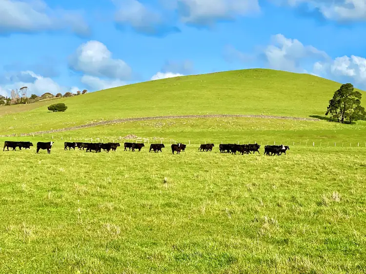 Sixth view of Homely rural property listing, 220 Satchwell Lane, Camperdown VIC 3260