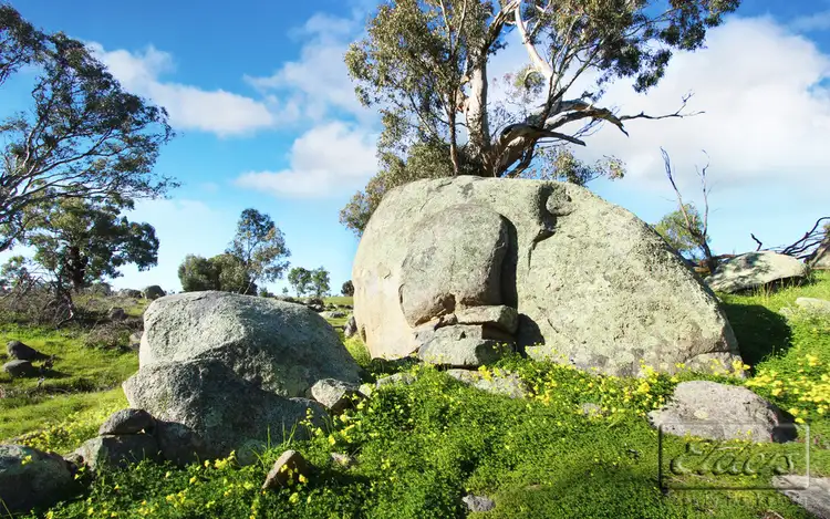 Sixth view of Homely rural property listing, 256 Bridgewater - Maldon Road, Maldon VIC 3463