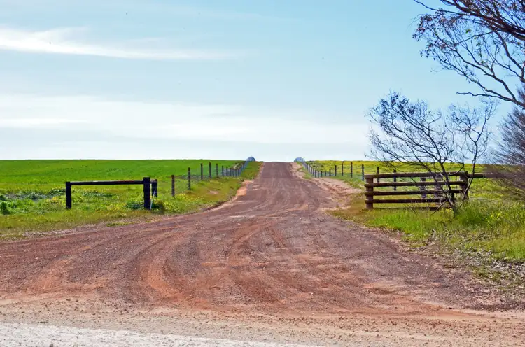 Main view of Homely rural property listing, 514 BARK HUT ROAD, Cassini SA 5223