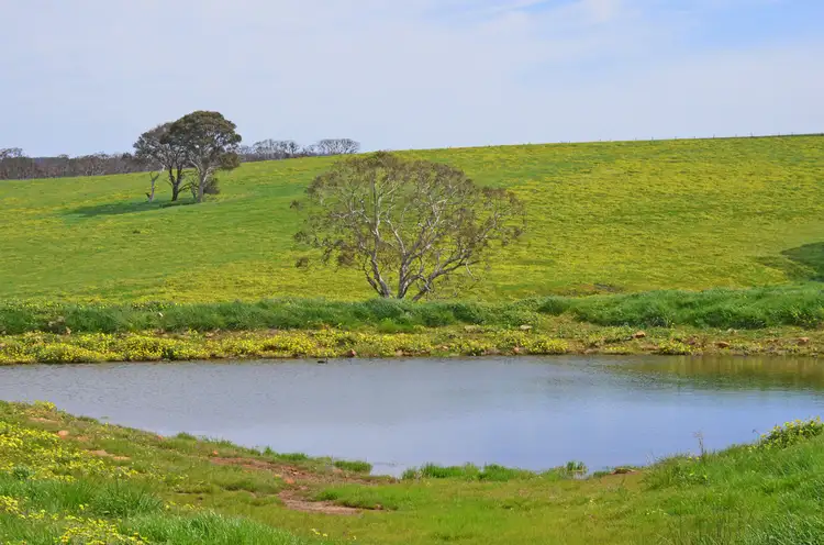 Second view of Homely rural property listing, 514 BARK HUT ROAD, Cassini SA 5223