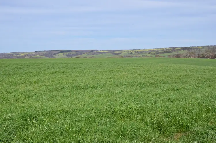 Third view of Homely rural property listing, 514 BARK HUT ROAD, Cassini SA 5223