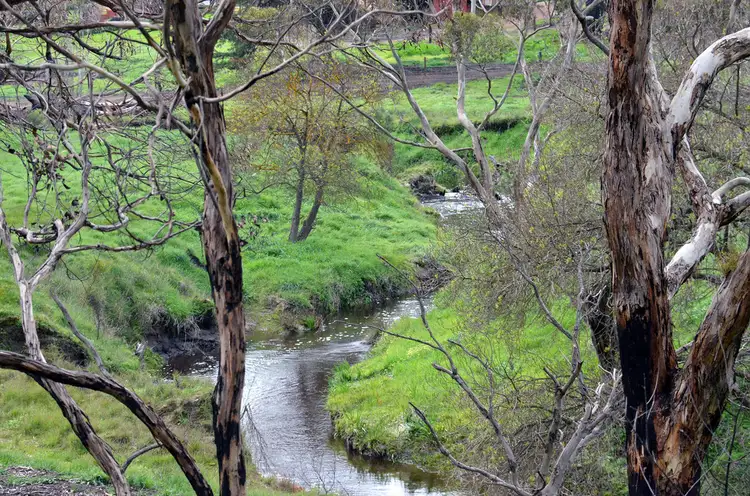Fourth view of Homely rural property listing, 514 BARK HUT ROAD, Cassini SA 5223