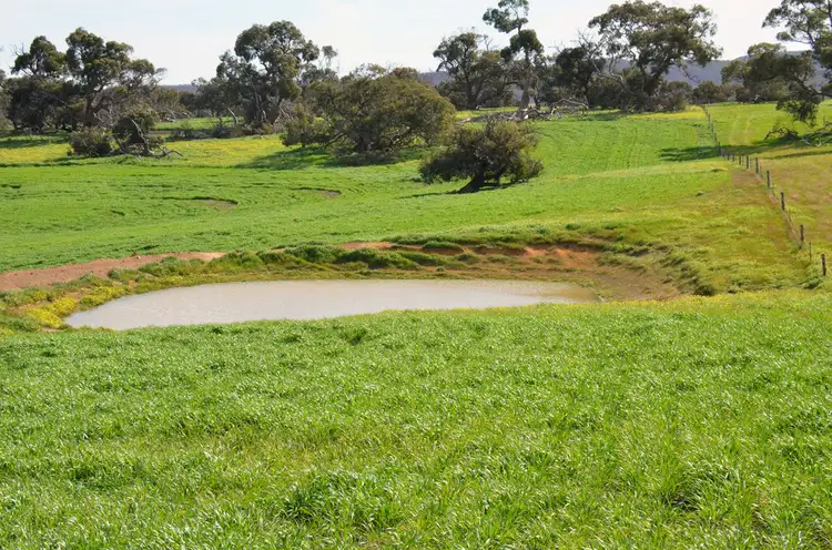 Fifth view of Homely rural property listing, 514 BARK HUT ROAD, Cassini SA 5223