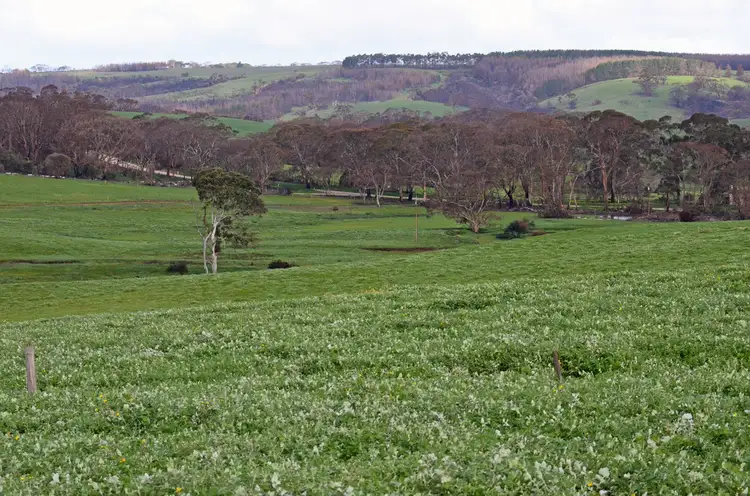 Sixth view of Homely rural property listing, 514 BARK HUT ROAD, Cassini SA 5223