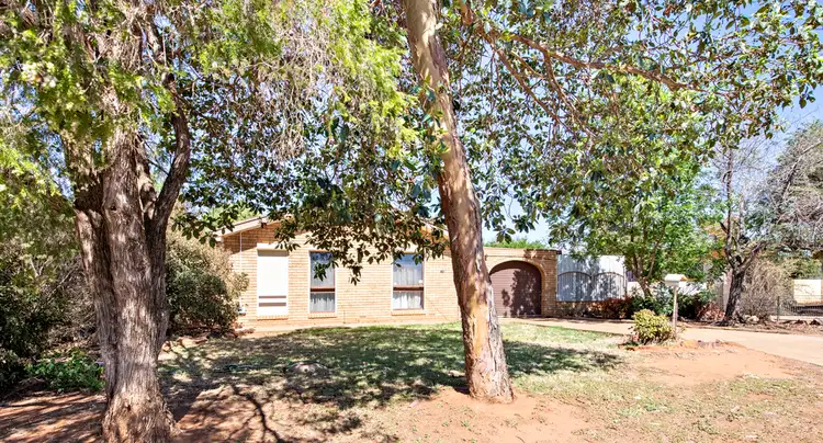 158 Bunglegumbie Road