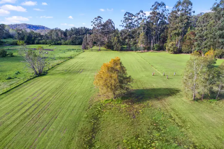 Fourth view of Homely rural property listing, 39 Jones Road, Lower Portland NSW 2756