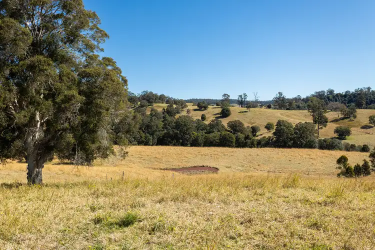 Fifth view of Homely rural property listing, 139 Sawpit Lane, Wallanbah NSW 2422