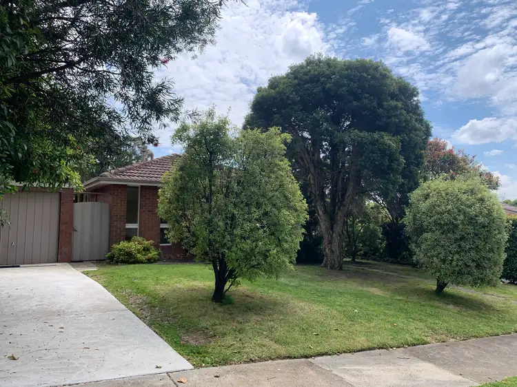 Second view of Homely house listing, 6/16-18 Suffolk Road, Surrey Hills VIC 3127