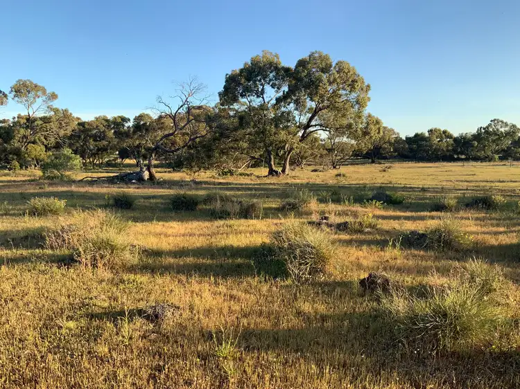 Second view of Homely rural property listing, A20 Westbrook Road, Tailem Bend SA 5260