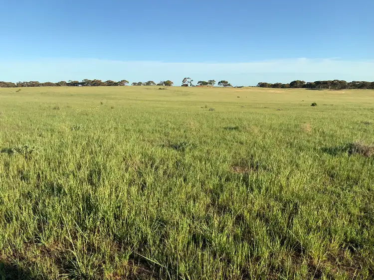 Third view of Homely rural property listing, A20 Westbrook Road, Tailem Bend SA 5260