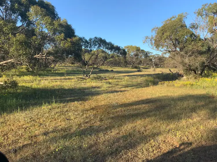 Fourth view of Homely rural property listing, A20 Westbrook Road, Tailem Bend SA 5260