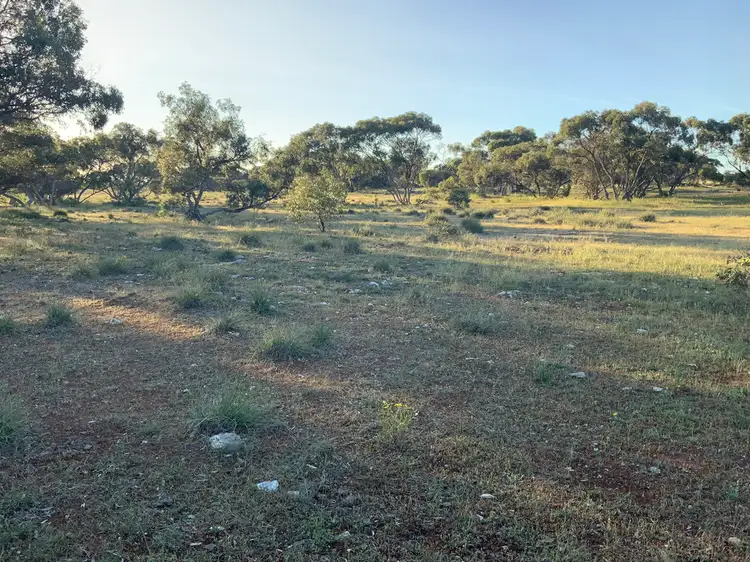 Fifth view of Homely rural property listing, A20 Westbrook Road, Tailem Bend SA 5260