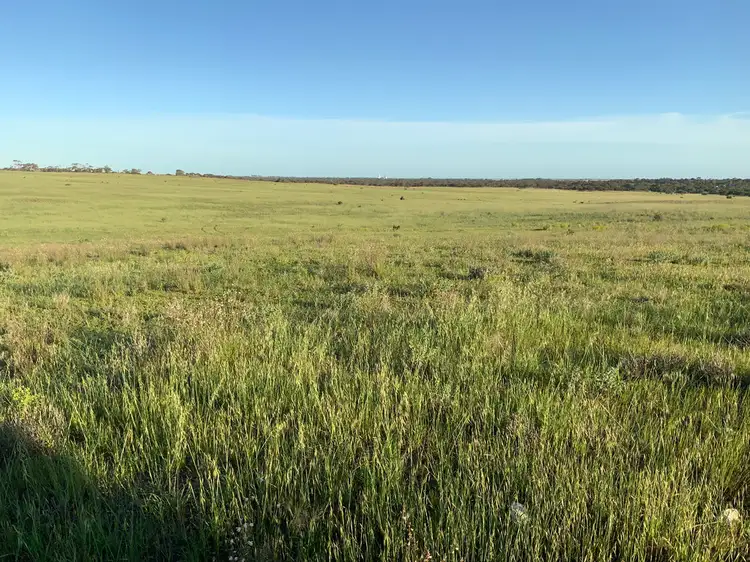 Seventh view of Homely rural property listing, A20 Westbrook Road, Tailem Bend SA 5260