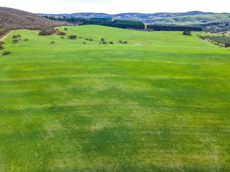 Fifth view of Homely rural property listing, 734 Cleland Gully Road, Tooperang SA 5255