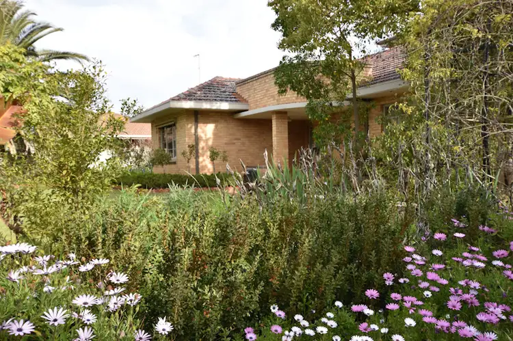 244 HARFLEUR STREET, Deniliquin NSW 2710