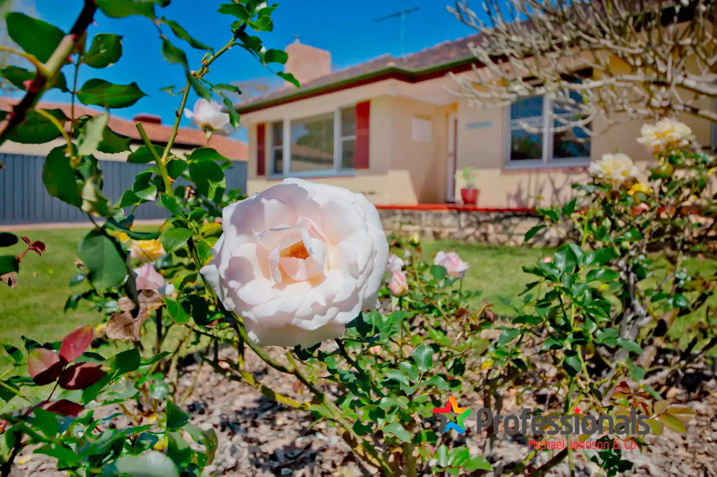 Main view of Homely house listing, 393 Light Street, Dianella WA 6059