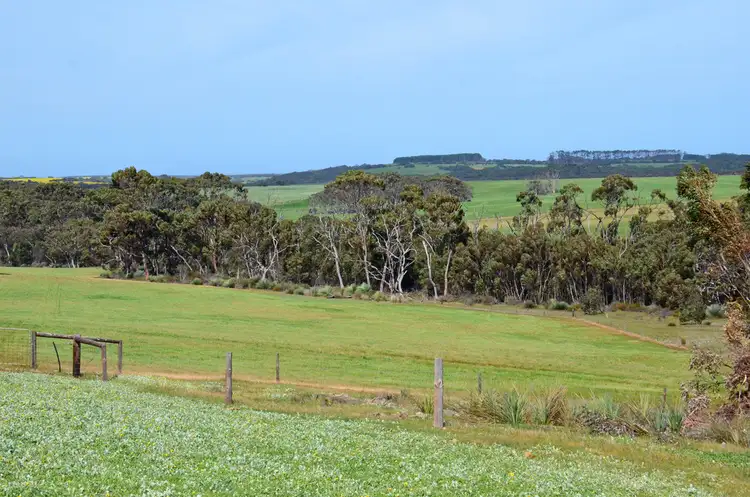 Seventh view of Homely rural property listing, 1334 HARRIET ROAD, Newland SA 5223