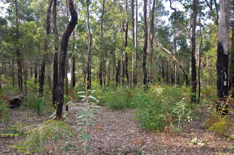 Seventh view of Homely land listing, LOT 27 KARRI LANE, Quinninup WA 6258
