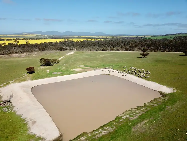 Second view of Homely rural property listing, 599 Syred Road, Takalarup WA 6324