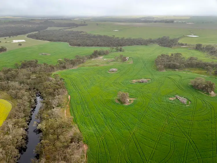 Fourth view of Homely rural property listing, 599 Syred Road, Takalarup WA 6324