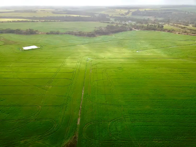 Fifth view of Homely rural property listing, 599 Syred Road, Takalarup WA 6324