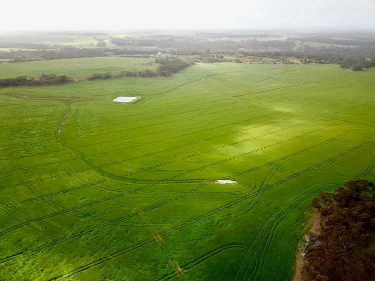 Sixth view of Homely rural property listing, 599 Syred Road, Takalarup WA 6324
