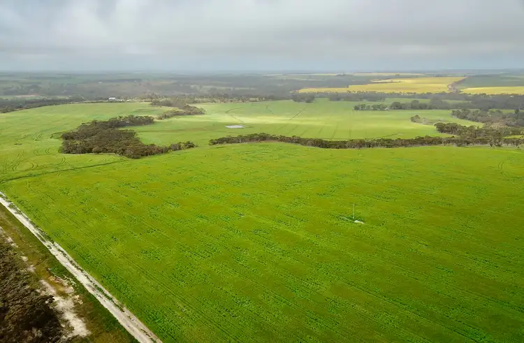 Seventh view of Homely rural property listing, 599 Syred Road, Takalarup WA 6324
