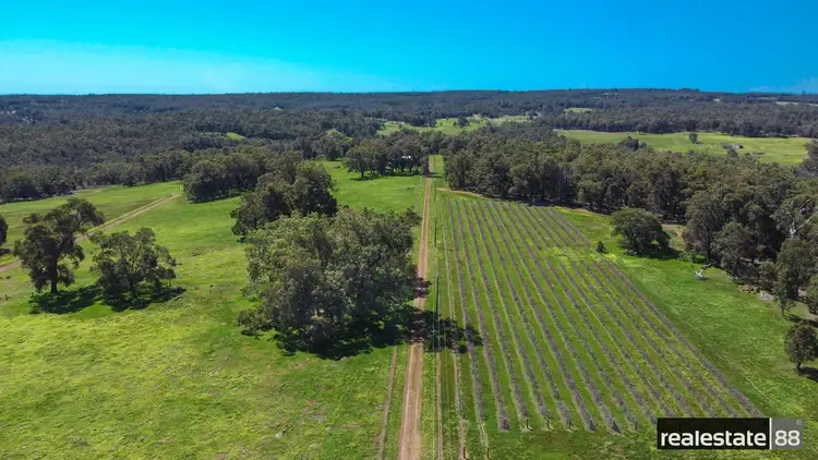 Third view of Homely rural property listing, 1237 Toodyay Road, Gidgegannup WA 6083