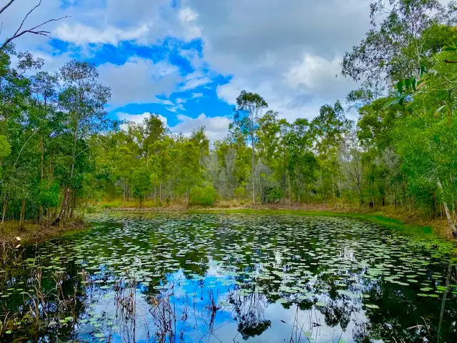 225 Creevey Drive, Captain Creek QLD 4677