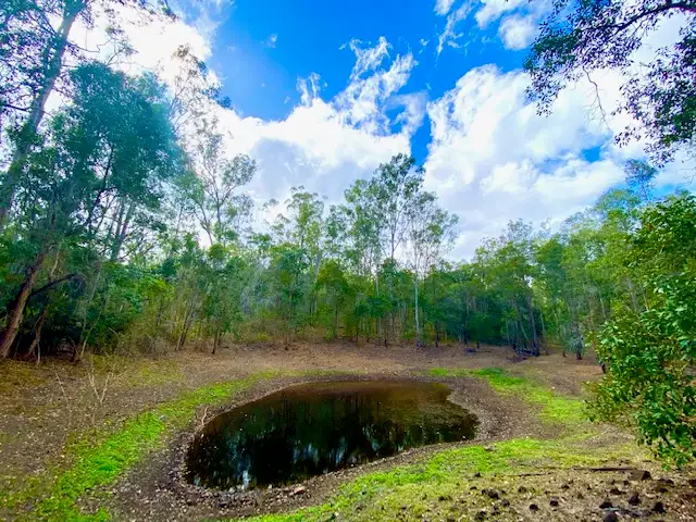 Seventh view of Homely house listing, 225 Creevey Drive, Captain Creek QLD 4677