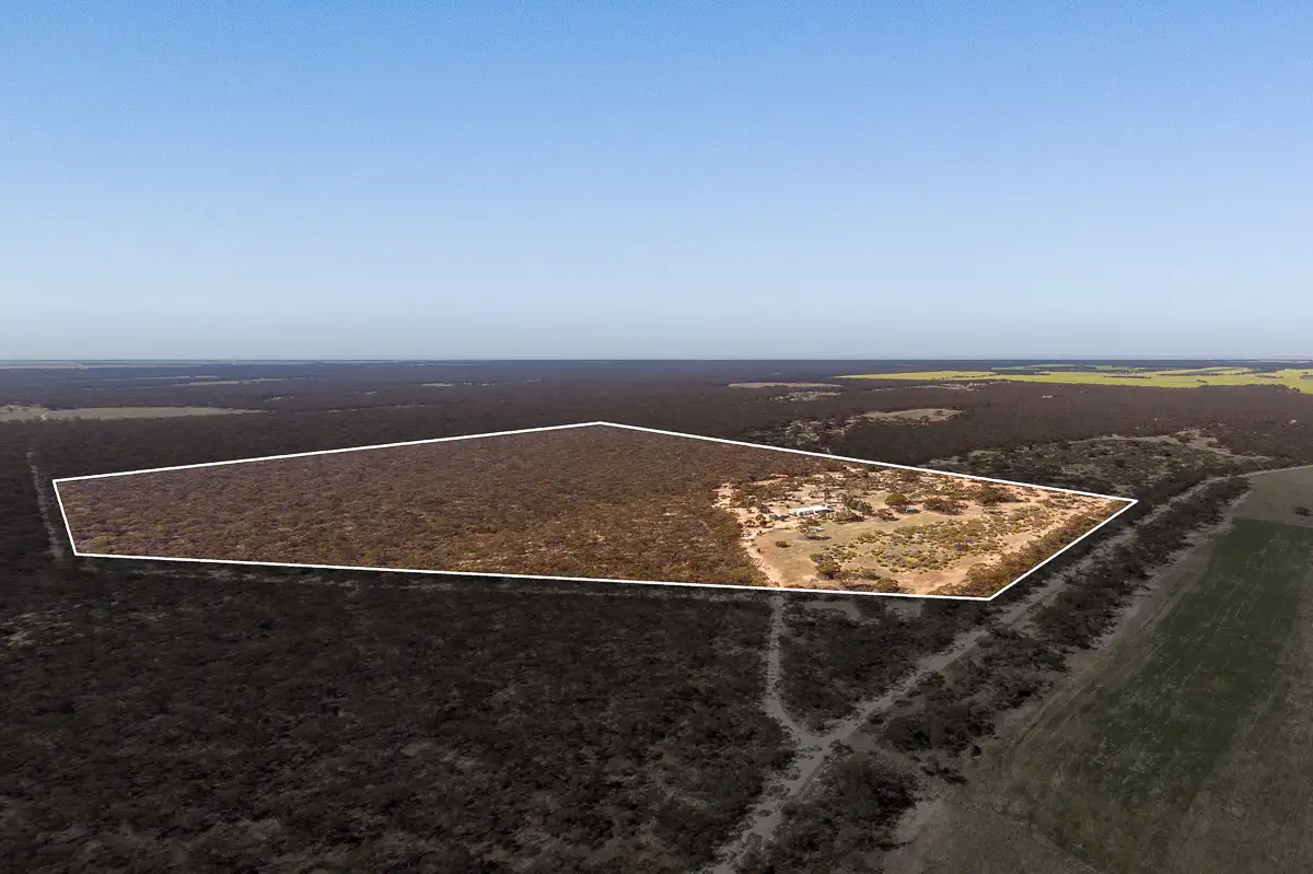 Main view of Homely rural property listing, 14 Stoneman Road, Bowhill SA 5238