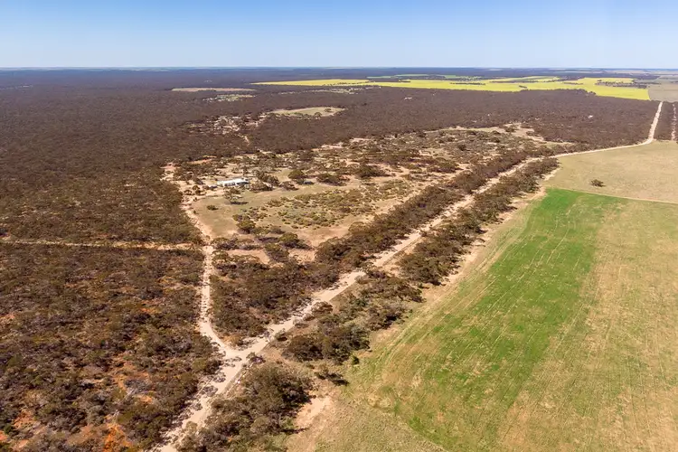 Third view of Homely rural property listing, 14 Stoneman Road, Bowhill SA 5238