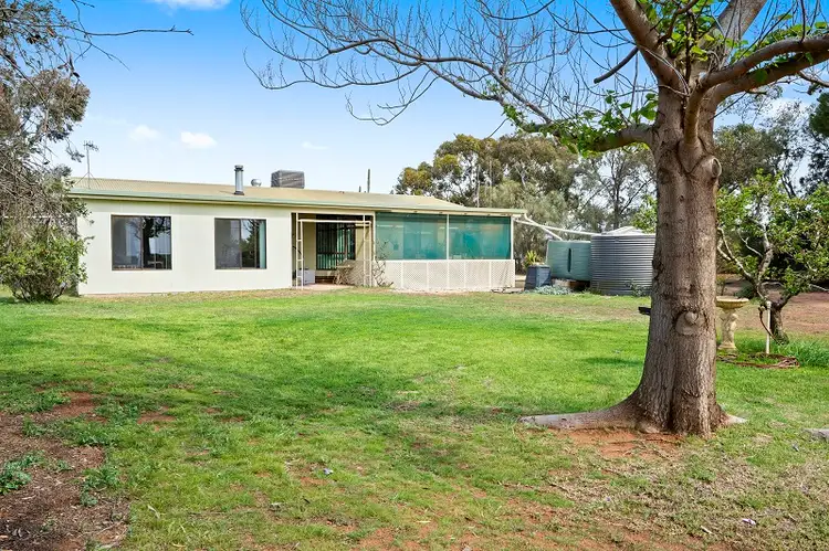 Lot 687 Hunt Road, Loveday SA 5345
