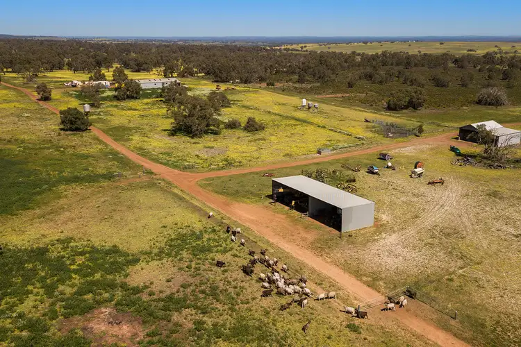 Main view of Homely rural property listing, 345 Fynes Road, Red Gully WA 6503