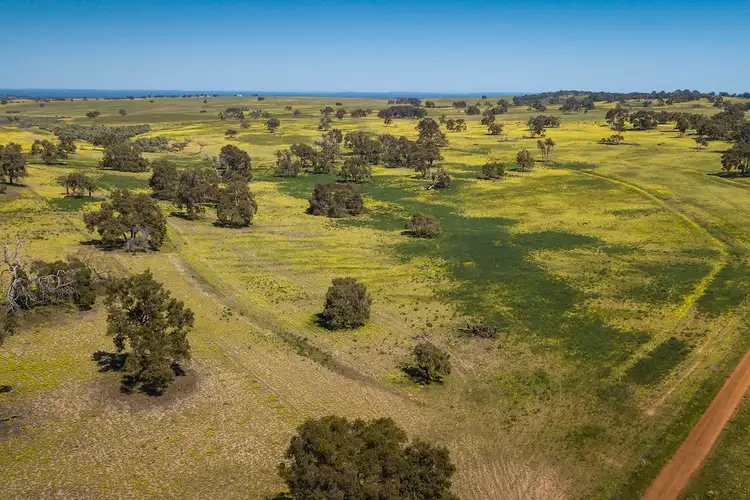 Fourth view of Homely rural property listing, 345 Fynes Road, Red Gully WA 6503
