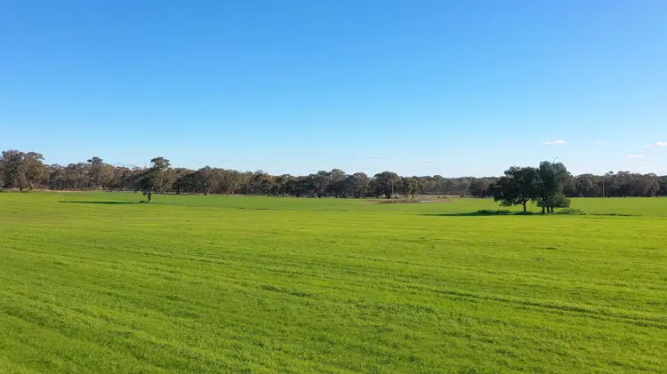 Seventh view of Homely rural property listing, 355 Granthams Road, Carlyle VIC 3685