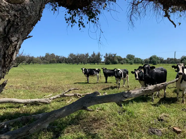 Seventh view of Homely rural property listing, 1024 Forestry Road, Harvey WA 6220