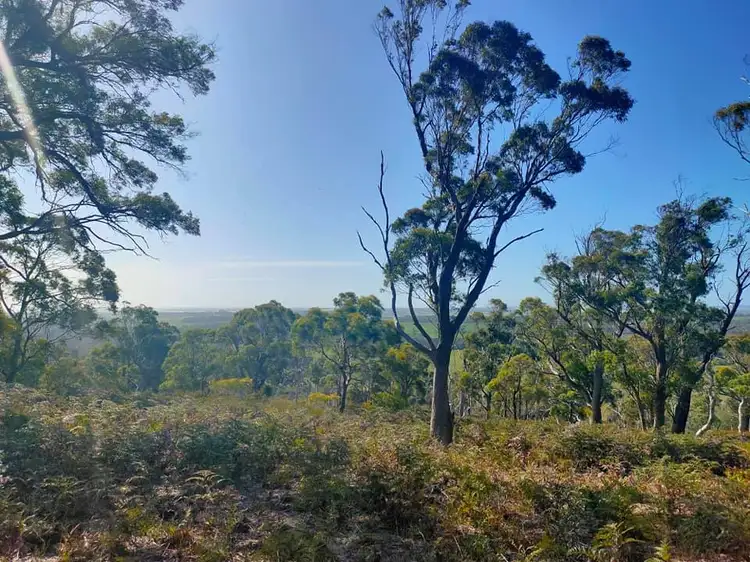 Fifth view of Homely house listing, Lot 2 Barnbougle Road, Bridport TAS 7262