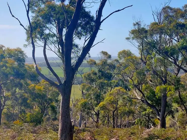 Sixth view of Homely house listing, Lot 2 Barnbougle Road, Bridport TAS 7262