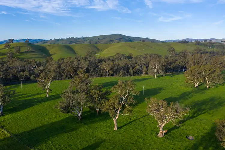 Second view of Homely rural property listing, 5621 Maroondah Hwy, Alexandra VIC 3714