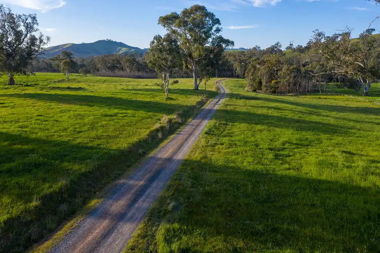Third view of Homely rural property listing, 5621 Maroondah Hwy, Alexandra VIC 3714
