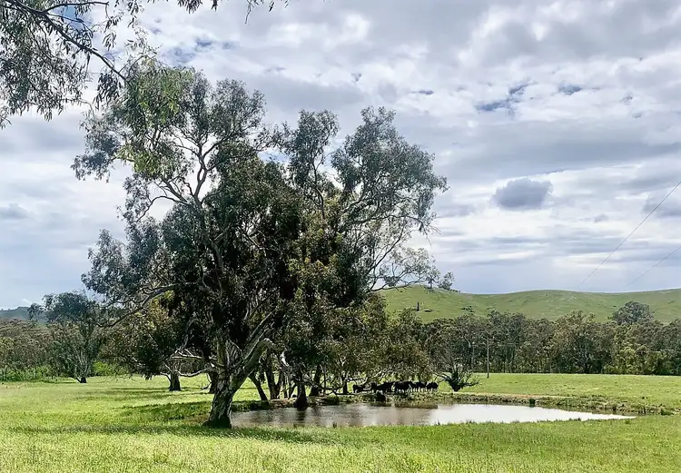 Fourth view of Homely rural property listing, 5621 Maroondah Hwy, Alexandra VIC 3714