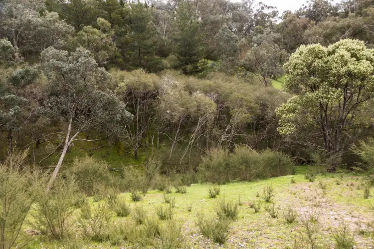 Seventh view of Homely rural property listing, Address available on request