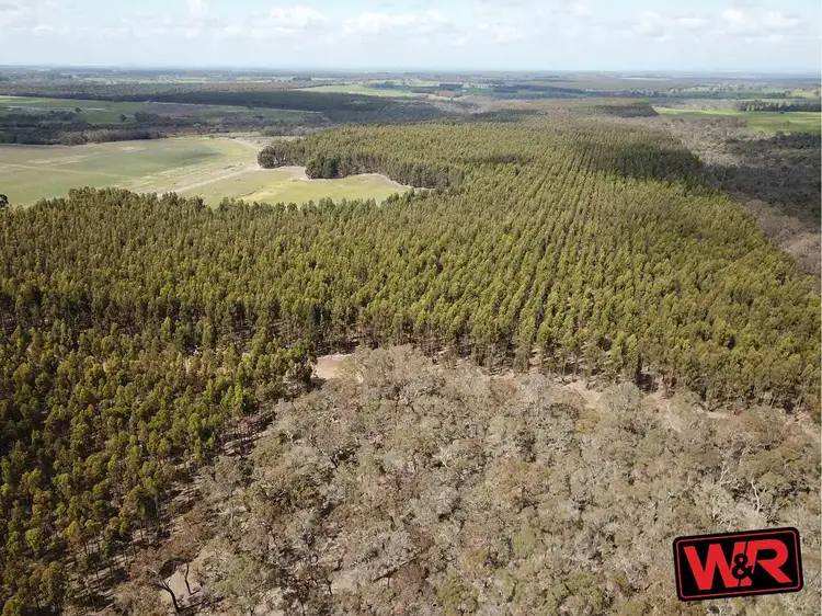 Third view of Homely rural property listing, Lot 4681 Spencer Road, Narrikup WA 6326