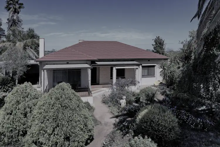 77 Casson Avenue, Loxton SA 5333